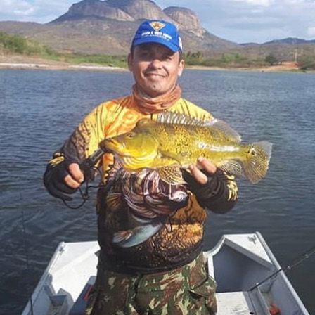 camisa de pesca  king