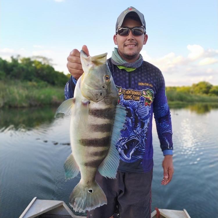 camisa de pesca  camuflada