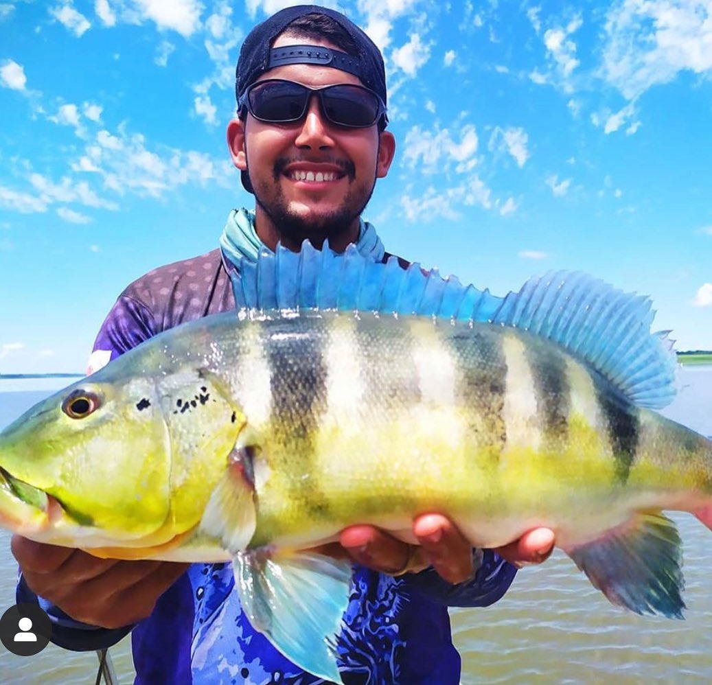camisa de pesca  king